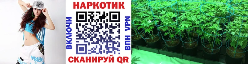 Где найти наркотики Теберда Cocaine  Галлюциногенные грибы  Марихуана  СК  Амфетамин 