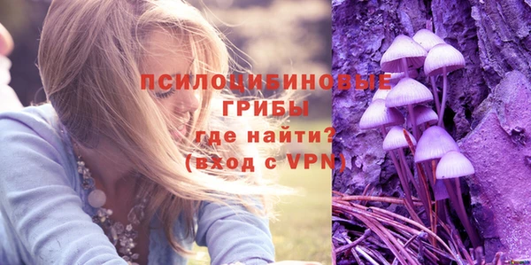 прущий лед Елизово