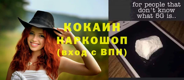 соль ск Елабуга