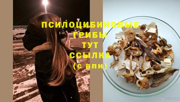 соль ск Елабуга