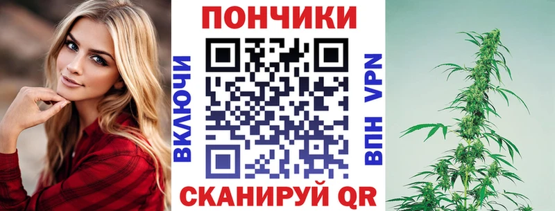 Канабис SATIVA & INDICA  Теберда 